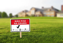 Quem colocou as placas não pise na grama na grama?