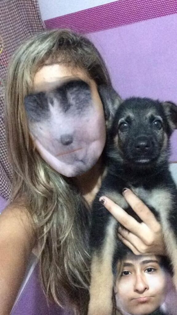 face swap 4