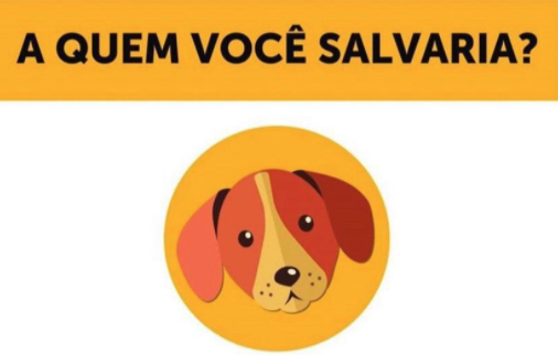 Quem você salvaria? Sua resposta revela algo sobre a sua personalidade