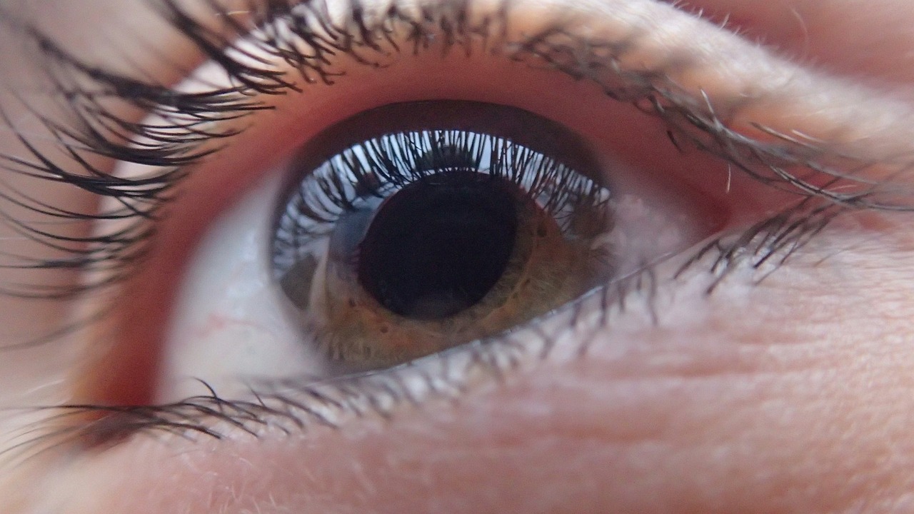 Por que a pupila dilata? 10 curiosidades sobre os nossos olhos